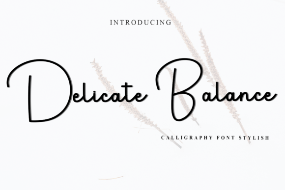 Delicate Balance Font: Elevating Editorial Design