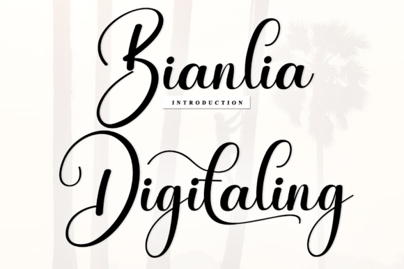 Transform Your Handmade Creations with Bianlia Digitaling